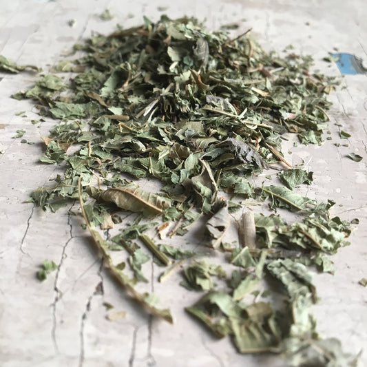 Werbena - 30g